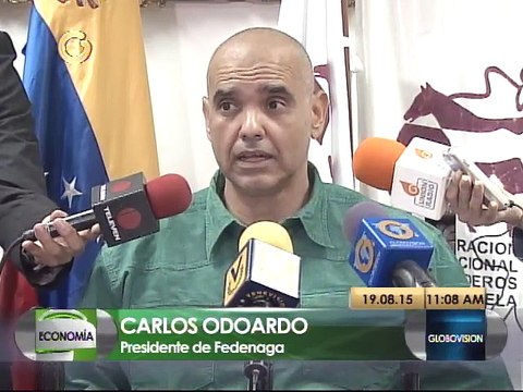 Fedenaga propone plan para aumentar producción de carne y leche