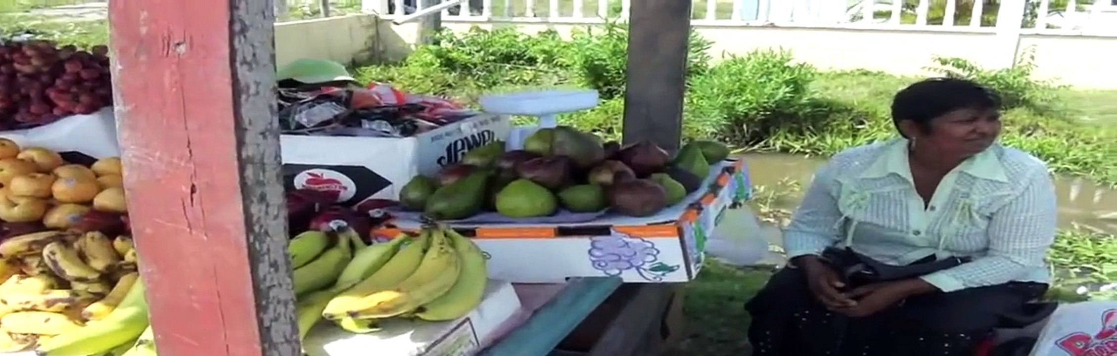 WILLIAMSBURG MARKET- BERBICE GUYANA-GUYANA FISH MARKET