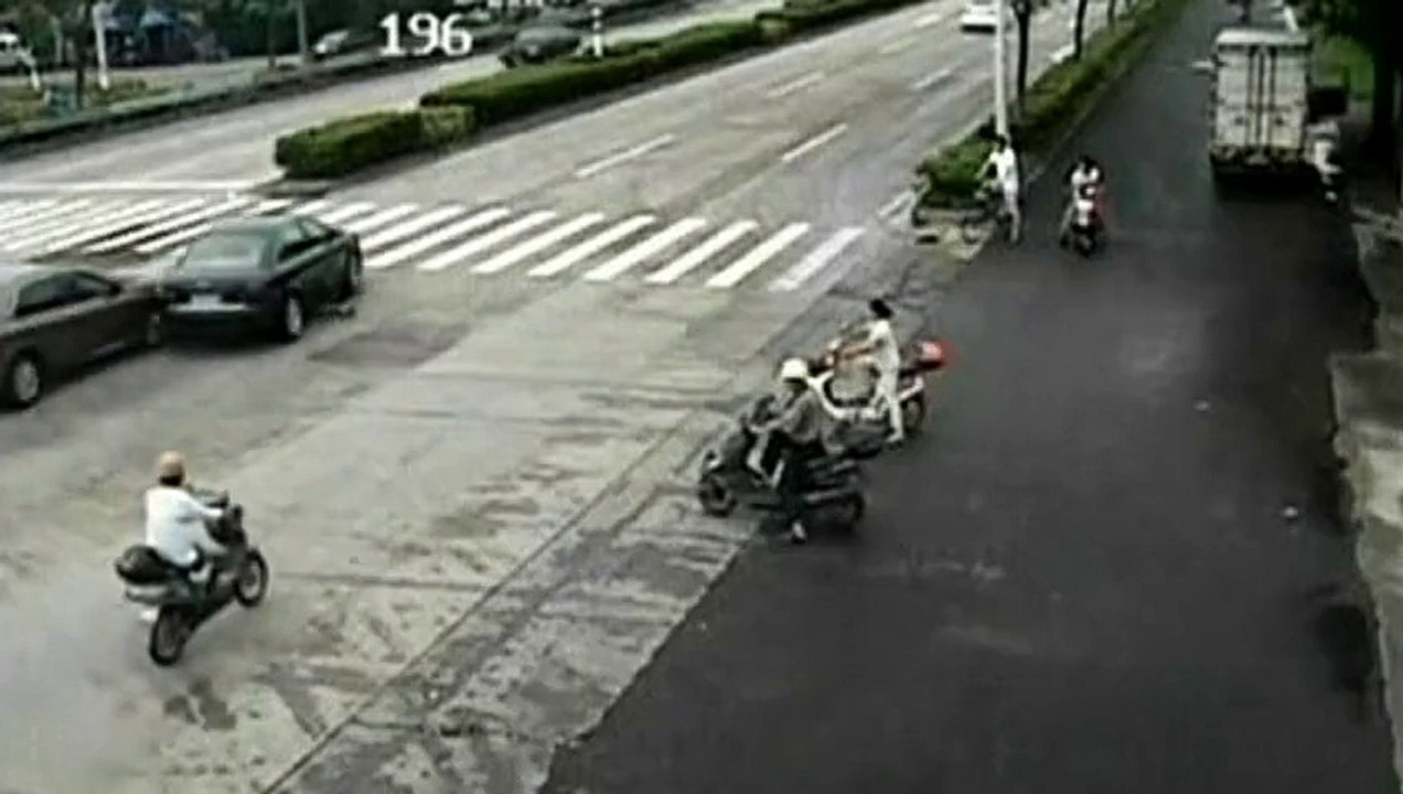 Dog causes motorway pile-up in China