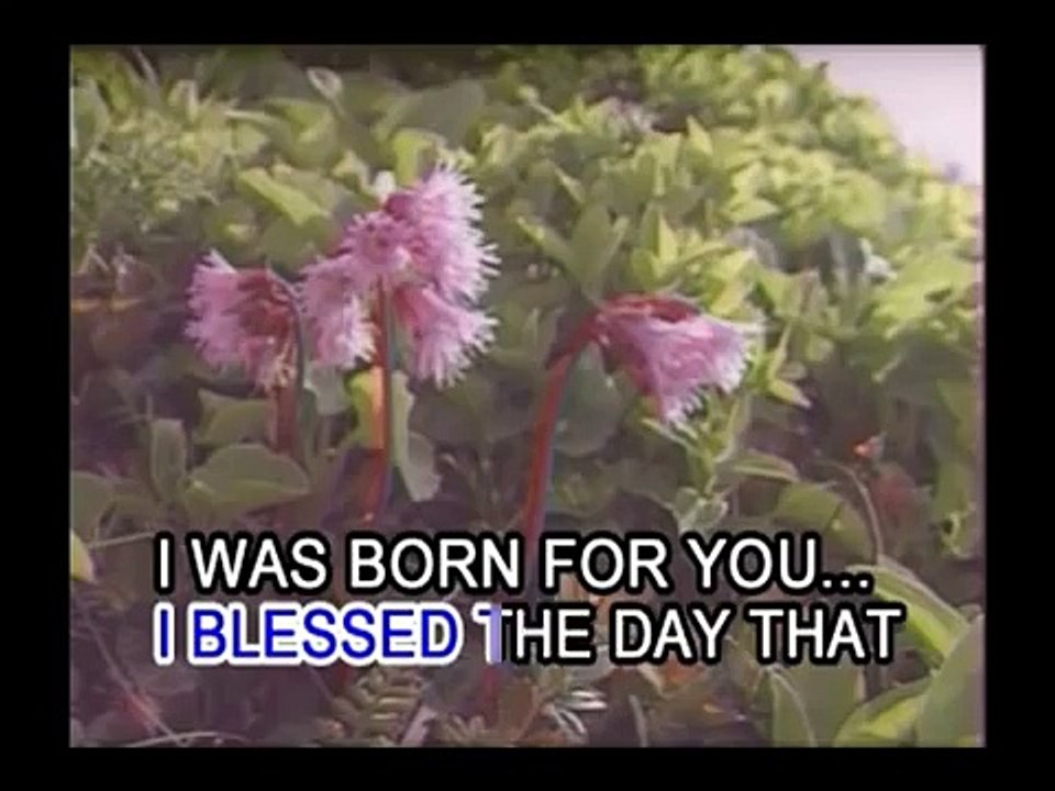 David Pomeranz - Born For You (Karaoke / Instrumental) (Videoke)