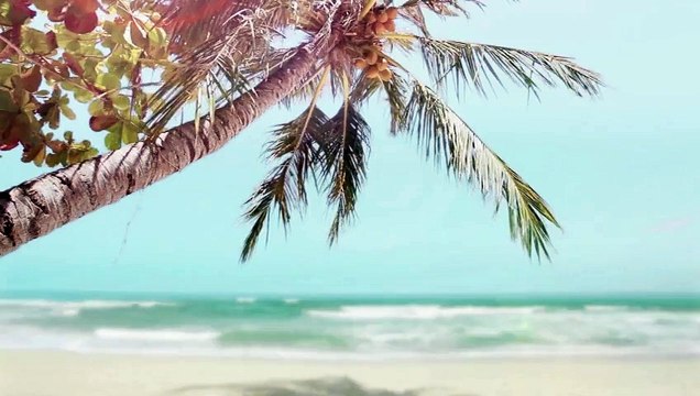 Orthodontics Littleton - Duryea - (303) 933-0300