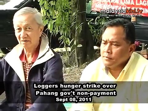 Loggers hunger strike over Pahang gov't non-payment