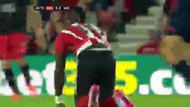 All Goals and Highlights HD _ Southampton 1-1 Midtjylland 20.08.2015 HD