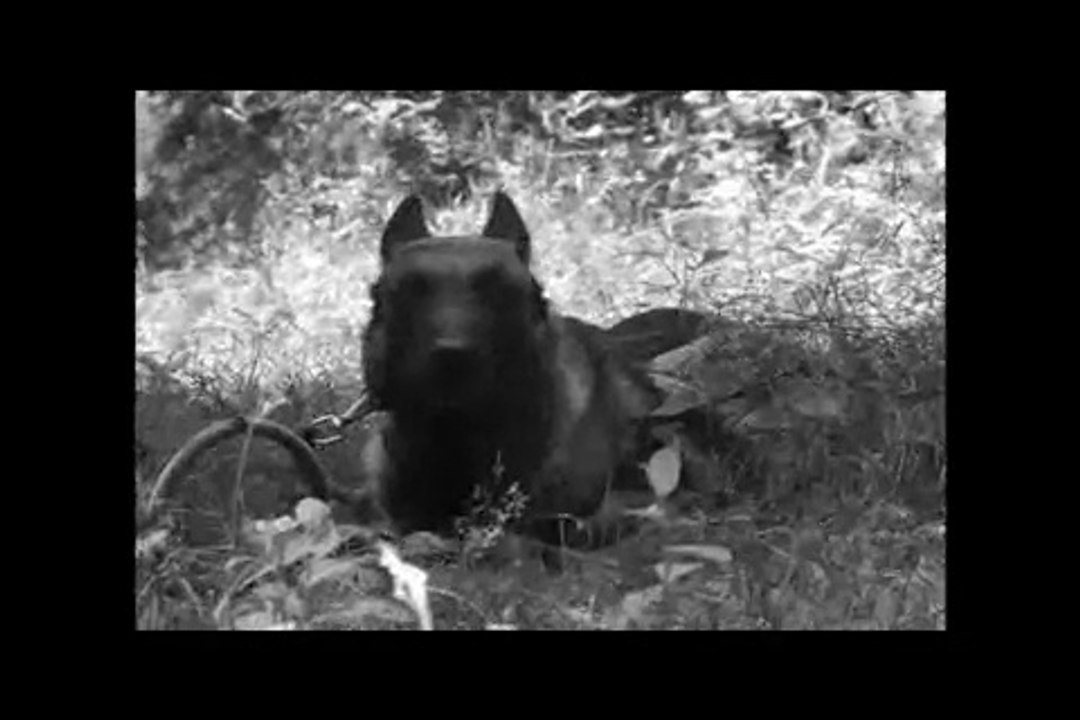 Le Rakuen promenades 2014-07 Aaron 03