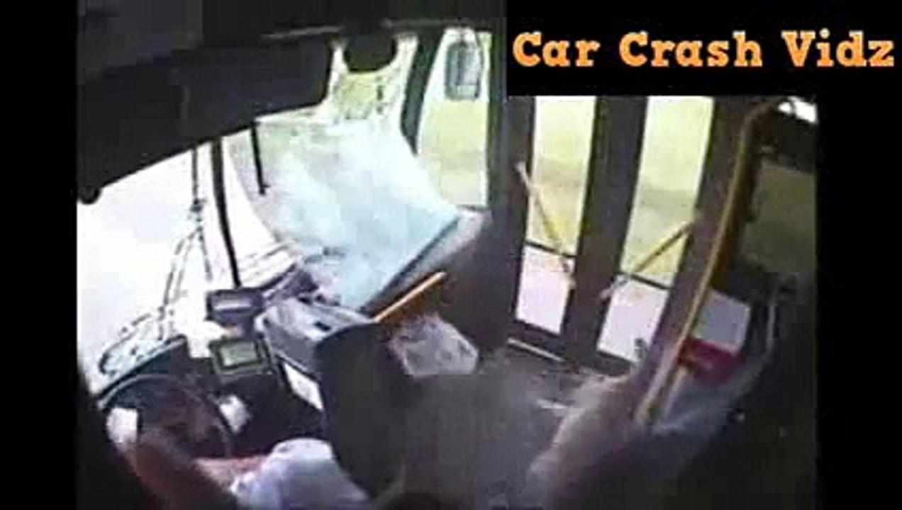 Animals Hit By Cars - Animals On The Road Compilation