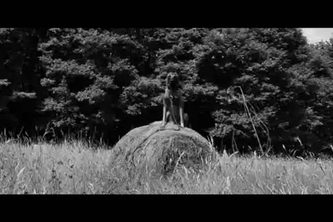 Le Rakuen promenades 2014-07 Aaron 11