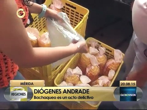 Bachaqueros deben ser desenmascarados y expuestos al escarnio