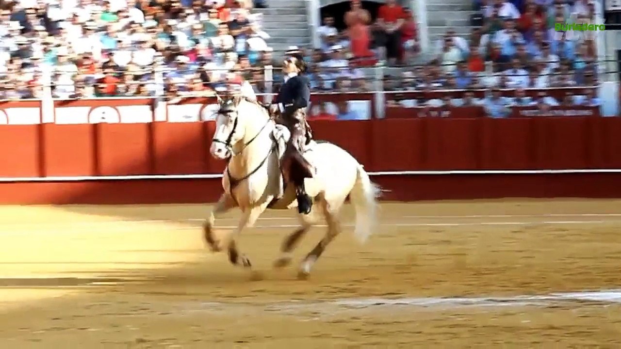 Málaga 20 ago 2015
