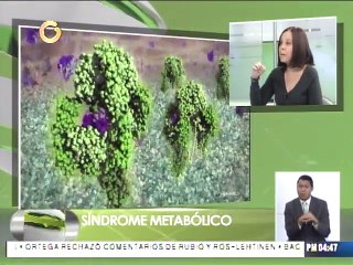 ¿Cómo prevenir la obesidad?