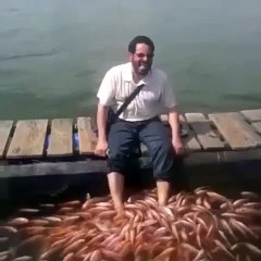 يعالج رجليه بالسمك لكن ضحكته لمّت الحارة ههههههه مقطع مضحك