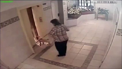 اغبى امراة في العالم كادت تقتل كلب بغبائها شاهد الفيديو الصادم !!