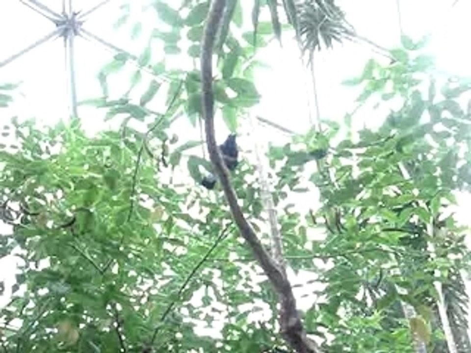 MOV01569