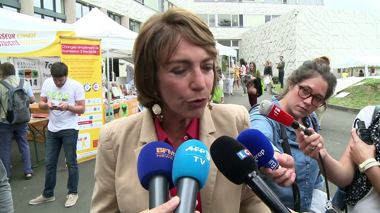 EELV toujours divisé sur ses alliances avant les régionales