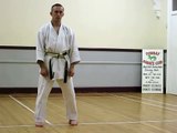 Heian Godan - SLOW (Shotokan Karate Kata)