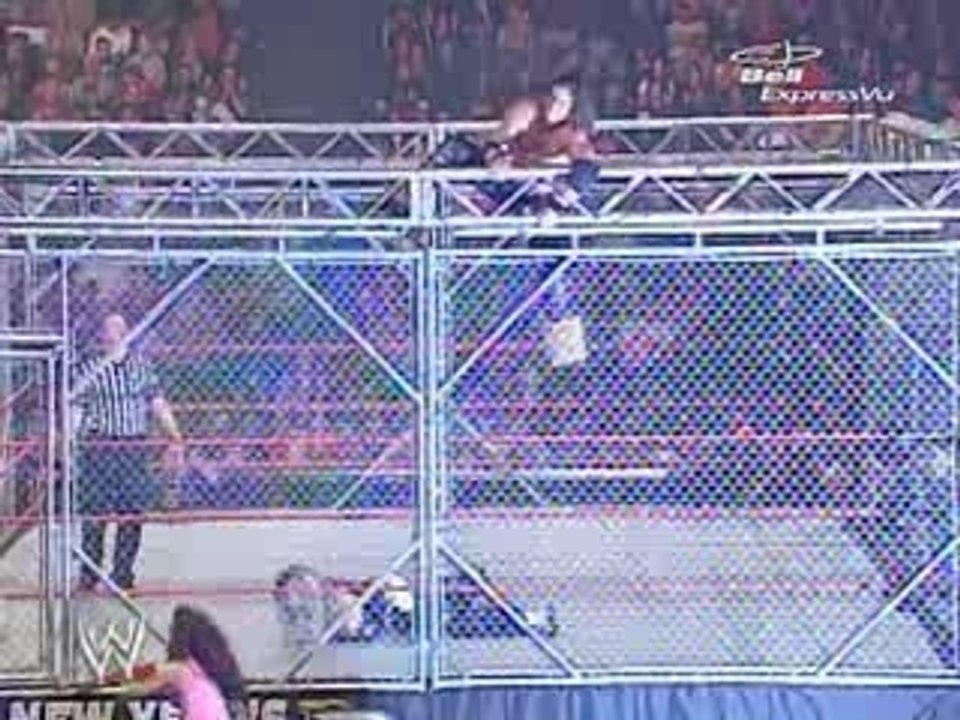 WWE.New.Years.Revolution.2007part3 cage