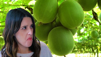 Zero Calorie Super Sweetener aka Monk Fruit - Why Would You Eat That