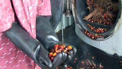 RENTEC MODULAR Mini Palm Oil Mill