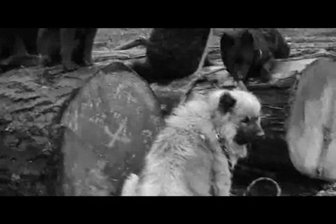 Le Rakuen promenades 2014-12 Indie