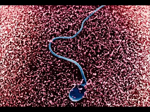 trying to conceive and best time to conceive - tips for getting pregnant