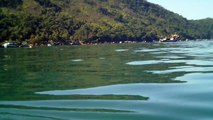 Praia à praia, mares aos mares, barcos aos barcos, Ubatuba, SP, Brasil,PET reciclados em 82 a 92 garrafas de 2 litros