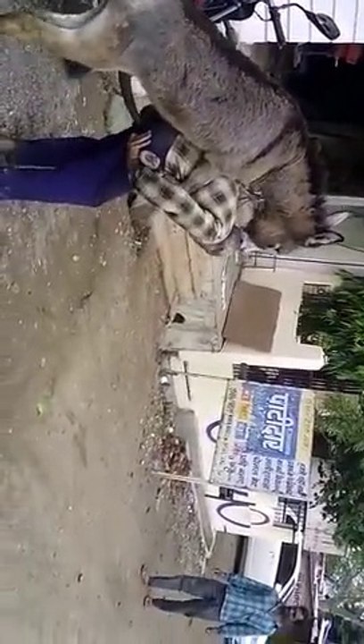 khotay na pakistani babay ko mand dea...hahahha v funny.