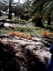 VID-20150819-WA0009.mp4