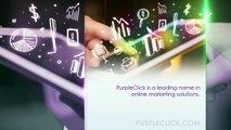 PurpleClick offers businesses with data-driven Facebook Advertising