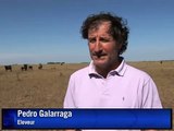 Argentina sufre la peor sequía en medio siglo