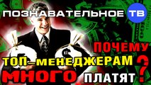 Почему топ-менеджерам много платят? (Познавательное ТВ, Михаил Величко)