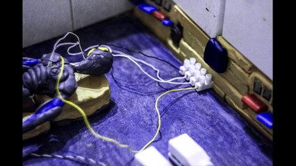 Project Clearing (Episode 1 - Too Many Questions) - claymation, sci-fi