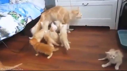 추천ஐ정보이용료 현금화Ο1Ο＿5906＿OI9O 多핸드폰소액결제 현금화 YK추천 【정보이용료 현금화】