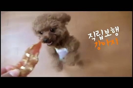 ல성남출장안마ல》수원출장안마《OIO-2156-4202》성남출장마사지｜수원출장마사지