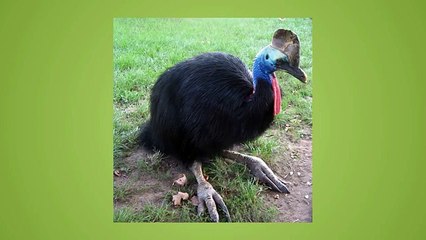 ல화정출장안마ல》군포출장안마《OIO-2156-4202》군포출장마사지｜화정출장마사지