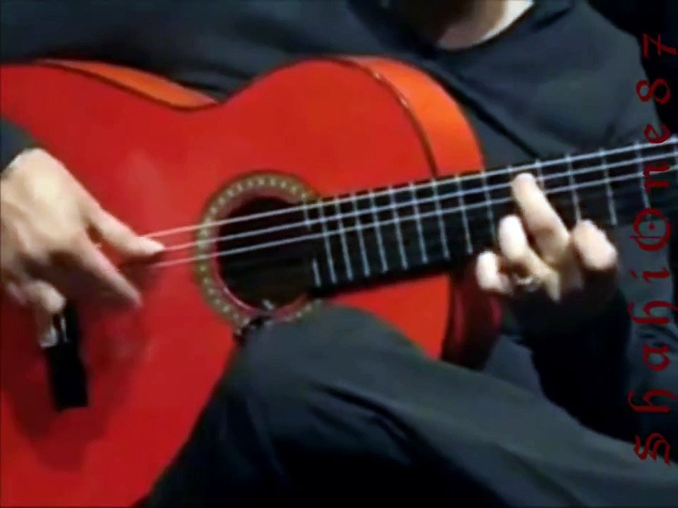 Amazing Flamenco Guitarist | Buleria