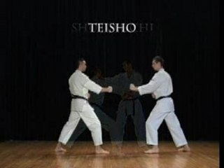 Karate: Wado. Kihon waza