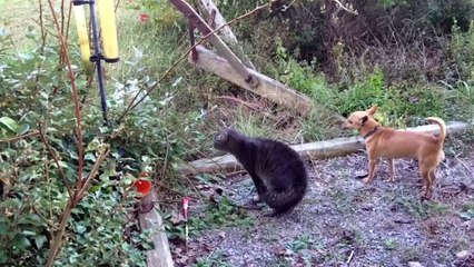 ஐ정보이용료현금화ல→OIO-3O47-O759←↓Τ머니 현금화/ 핸드폰소액결제 현금화！핸드폰소액대출 현금화