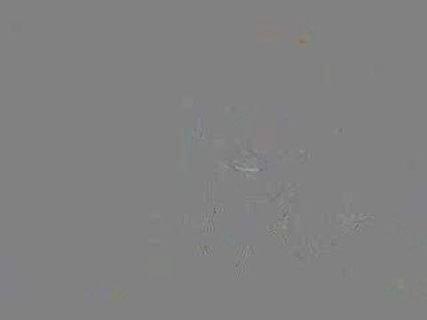 FR3: JT 19|20, Nicolas Sarkozy 29.03.07