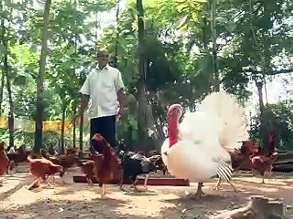 Shantivan Shetkari Sevamandal
