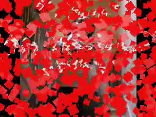 hips don't lie parody