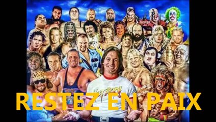 Summerslam 2015 part 1 [John Cena vs Brock Lesnar]