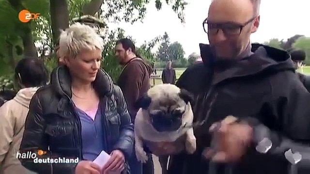 Pferde Chiropraktiker Tamme Hanken ( XXL Ostfriese )