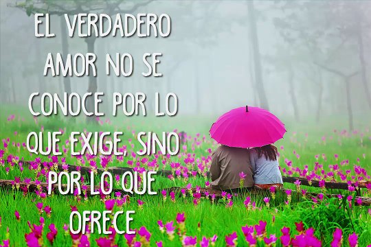 Frases bonitas de amor para enamorados