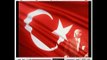 Re: Flag according to Turks (Re: Burn of Turkish flag)