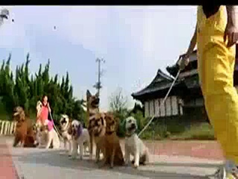 Genious 13 Dog