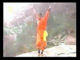 5 tecniche shaolin kung fu