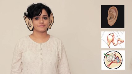 Your ears can make you look drunk