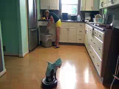 Cat Cleans Kitchen On A Roomba