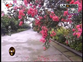 20150821 幸福生活麻辣烫 麻辣烫：开公司（三）