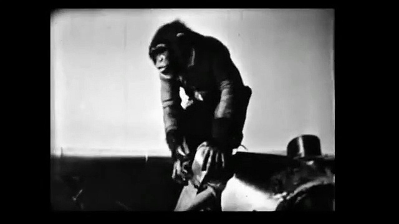 "Chimp the Aviator" - Castle Films