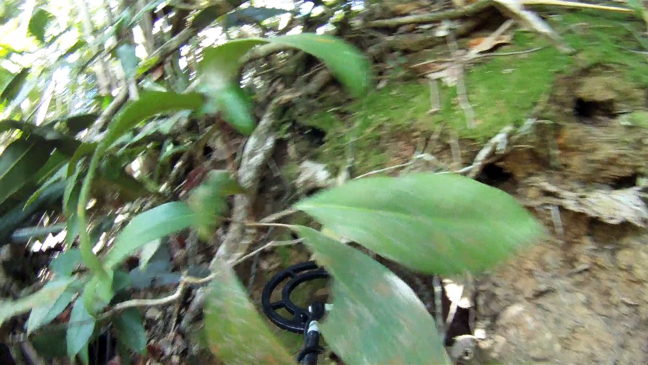 Nas praias de Ubatuba, em busca da vida, da felicidade,  da Natureza, dos mares, ,,,